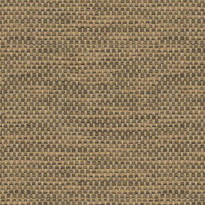 ǎ NX ̂Ȃ VR[ SWT30157 wall pro2024-2027 DEz uE i` nǎ sR sR 