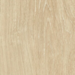 ǎ NX ̂Ȃ J LW-199 will EB 2023-2026 }eA n ؖ sR sR