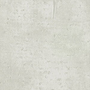 yBF聚ő5000~OFFP2{zǎ NX ̂Ȃ J LW-241 will EB 2023-2026 }eA n ΖڒAh蒲 sR sR