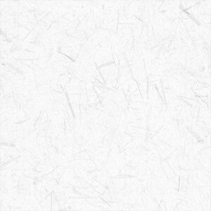 yő500~OFFP2{zǎ NX ̂Ȃ J LW-286 will EB 2023-2026 Wp n a sR sR