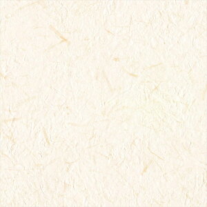 yő500~OFFP2{zǎ NX ̂Ȃ J LW-287 will EB 2023-2026 Wp n a sR sR