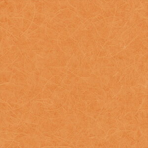 yő500~OFFP2{zǎ NX ̂Ȃ J LW-291 will EB 2023-2026 Wp Ԍn a sR sR