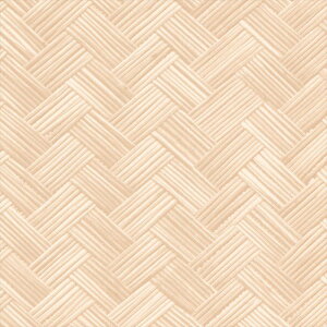 ǎ NX ̂Ȃ J LW-305 will EB 2023-2026 Wp n a sR sR