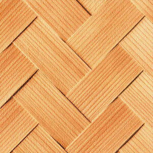 yő500~OFFP2{zǎ NX ̂Ȃ J LW-307 will EB 2023-2026 Wp n a sR sR