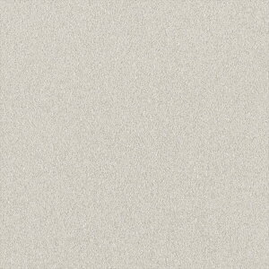 yBF聚ő5000~OFFP2{zǎ NX ̂Ȃ J LW-31 will EB 2023-2026 haptic n ΖڒAh蒲 sR sR