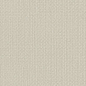 yBF聚ő5000~OFFP2{zǎ NX ̂Ȃ J LW-47 will EB 2023-2026 haptic n D sR sR