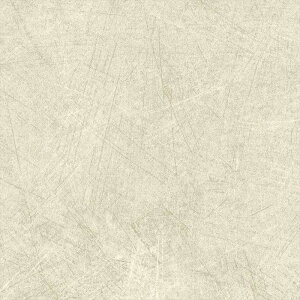 yBF聚ő5000~OFFP2{zǎ NX ̂Ȃ J LW-475 will EB 2023-2026 X[p[+h~ ybgΉ n ybgΉ sR sR ʋC h~