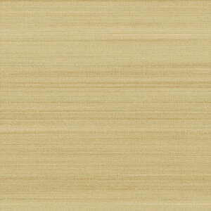 yő500~OFFP2{zǎ NX ̂Ȃ J LW-751 will EB 2023-2026 gbvR[g Lairrefre n a sR sR h~ 