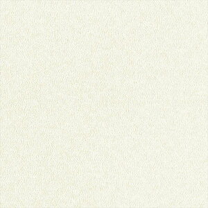 �y�ő�2000�~�N�[�|���z�z���z�ǎ� �N���X �̂�Ȃ� �����J�� LW-767 will �E�B�� 2023-2026 �����g�b�v�R�[�g ���Lair��refre ���n ���_�������[�h �s�R ���s�R ����h�~ ����