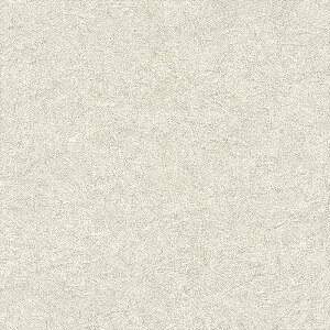 yBF聚ő5000~OFFP2{zǎ NX ̂Ȃ J LW-8 will EB 2023-2026 haptic n _[h sR sR