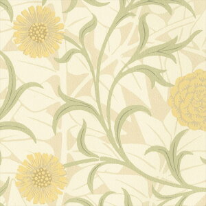 ǎ NX ̂Ȃ J LW-81 will EB 2023-2026 V&A EBAX MORRIS&Co. n t[[t sR sR