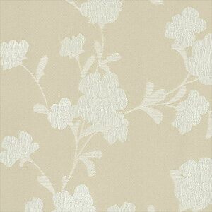 VR[ I[_[J[e h[v AZ-8241 abita ZIONE 2025-2028 WA a x[W a 􂦂 EHbVu h I[_[Ch 1cmP tI[_[