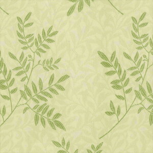 VR[ I[_[J[e h[v AZ-8255 abita ZIONE 2025-2028 WA a O[ a 􂦂 EHbVu I[_[Ch 1cmP tI[_[