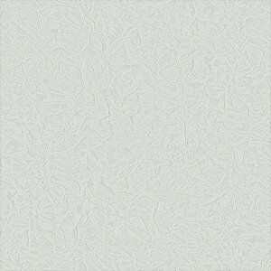�y�ő�2000�~�N�[�|���z�z���z�V���R�[�� �I�[�_�[�J�[�e�� �h���[�v AZ-8353 abita ZIONE 2025-2028 SHAKOU �Ռ� �O���[ �V���v���E�x�[�V�b�N�Ռ�2�� �􂦂� �E�H�b�V���u�� �h�� �I�[�_�[���C�h 1cm�P