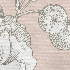 yX[p[SALEN[|zzzTQc I[_[J[e h[v AC2387 AC G[V[ 2023-2026 Blackout sNn ԕ 􂦂 EHbVu h Ռ2 I[_[Ch 1cmP tI[