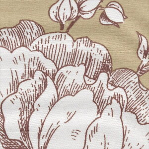 yX[p[SALEN[|zzzTQc I[_[J[e h[v AC2388 AC G[V[ 2023-2026 Blackout x[Wn ԕ 􂦂 EHbVu h Ռ3 I[_[Ch 1cmP tI