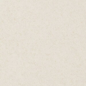 tA^C TQc IS-2170`IS-2184 Xg[&ANZg te 1̔܂ 457.2×457.2×2.5mm QlF1P[X=18 3.76m2 FLOOR TILE tA^C 2023-2026