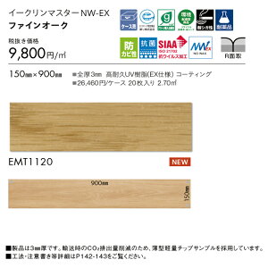 �t���A�^�C�� ���� �C�[�N���[���}�X�^�[NW-EX EMT1120 �t�@�C���I�[�N 20������ �E�b�h�E�ؖ� �x�[�W�� �^�C���R���N�V���� 2025-2028