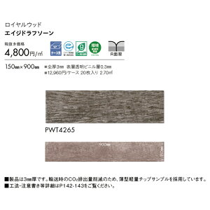 yԌ聚ő1000~N[|ztA^C  CEbh PWT4265 GCWht\[ 20 EbhEؖ uE ^CRNV 2025-2028