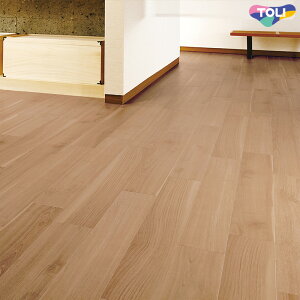 yő500~OFFP2{ztA^C  CEbh PWT4306 PWT4307  20 EbhEؖ uE ^CRNV 2025-2028