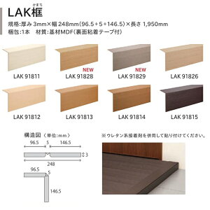 yő1000~N[|P2{ztA^C J CtA2022- LAKy ܂ LAK91811 LAK91812 LAK91813 LAK91814 LAK91815 LAK91826 LAK91828 LAK91829 3mmx248mmx1950mm 1{Pʔ̔