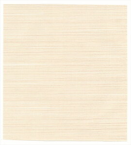 D Бz ͂邩6W 876-w n Ԕ 120cm×203cm Pʔ̔ nD VbNnEX΍