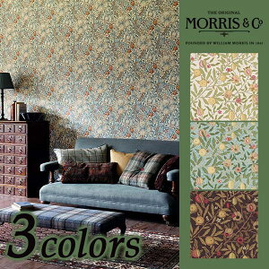 ǎ NX ̂Ȃ Aǎ CMX MorrisArchive XA[JCu Morris ECAEX i 210395 210396 210397 Fruit 1[ 52cmx10mPʔ̔  F sR