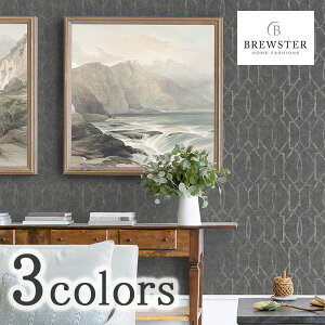 ǎ NX ̂Ȃ ǎ NX ̂Ȃ Aǎ TECIDO select eV[hZNg BREWSTER uX^[ i 4019-86447 4019-86448 4019-86452 1[ 53cm×10mPʔ̔ AJ sDz F 