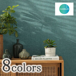 ǎ NX ̂Ȃ Aǎ TECIDO select eV[hZNg CASELIO JZI LNE103221900,LNE103222369,LNE103225022,LNE103224076,LNE103237000,LNE68527723,LNE68526020,LNE103229434 1[ 53cm×10m Pʔ̔ tX 