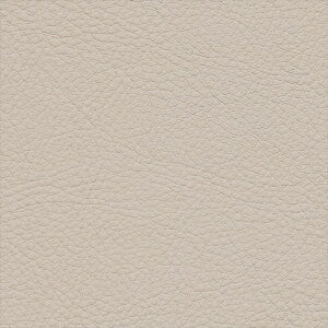 �y���Ԍ��聚�ő�1000�~�N�[�|���z�֎q���n 10cm�P�ʐؔ� �T���Q�c UP5024 �J���[���U�[ �O���[ �L����122cm UP2024-2028 �����ԗp��R �h�� �C�[�W�[�N���[�� �σA���R�[�� �ώ������f�_ �ϋ�