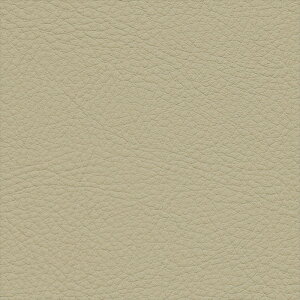 �y���Ԍ��聚�ő�1000�~�N�[�|���z�֎q���n 10cm�P�ʐؔ� �T���Q�c UP5048 �J���[���U�[ �x�[�W�� �L����122cm UP2024-2028 �����ԗp��R �h�� �C�[�W�[�N���[�� �σA���R�[�� �ώ������f�_ �ϋ�