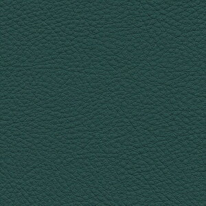 ֎qn 10cmPʐؔ TQc UP5142 J[U[ O[ L122cm UP2024-2028 ԗpR h C[W[N[ σAR[ ώf_ ϋ