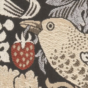 ֎qn 10cmPʐؔ TQc UP6102 D_/}`J[ }`J[ L150cm UP2024-2028 EHbVu