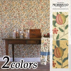 yJ[enz1mȏ10cmPʐؔ MORRIS&Co. EBAEX Fruit(t[c) h[vn iԁF1 3 MANAS-TEX ʕ ʎ A z t@ubN