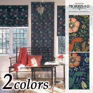 yJ[enz1mȏ10cmPʐؔ MORRIS&Co. EBAEX Compton(Rvg) h[vn iԁF2 5 MANAS-TEX ԕ t[ A z t@ubN