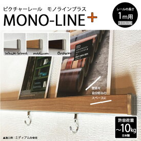 【4/24 20時～P5倍＆最大2000円OFFクーポン】ウッド調 3色 ピクチャーレール MONO-LINE+ 許容荷重3kg(石膏クギ使用時) 10kg(木ネジ使用時) 1m 専用フック2個 石膏クギ入りまたは木ネジ取り付け