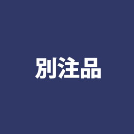 【先着限定！最大2000円クーポン配布中】別注品 A