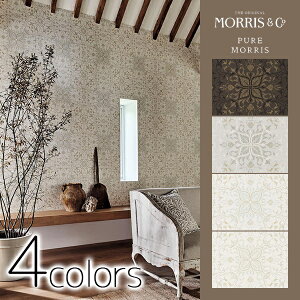 yő1000~N[|zǎ NX ̂Ȃ Aǎ CMX PURE MORRIS sA X Morris ECAEX i 216036 216037 216038 216039 Pure Net Ceiling lbgV[O 1[ 68.6cmX1