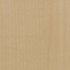 �y�ő�2000�~�N�[�|���z�J�b�e�B���O�V�[�g 10cm�P�ʐؔ� �T���Q�c ���A�e�b�N RW-4845 ���C�v�� ���� �x�[�W�� REATEC ���A�e�b�N 2024-2026 WOOD REATEC COAT ���A�e�b�N�R�[�g
