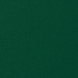 【毎月1日は全品P5倍】カッティングシート 10cm単位切売 サンゲツ リアテック 品番：TA-4768 無地 グリーン REATEC(リアテック)2024-2026 COLOR Solid Color