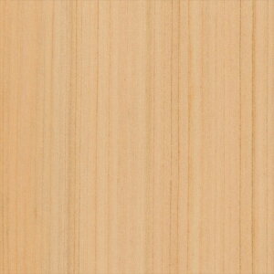 yX[p[SALEN[|zzzJbeBOV[g 10cmPʐؔ TQc AebN TC-4156 w  x[W REATEC AebN 2024-2026 WOOD WOOD {̖