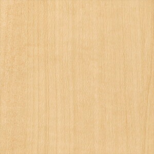 yX[p[SALEN[|zzzJbeBOV[g 10cmPʐؔ TQc AebN TC-4211 VJA  x[W REATEC AebN 2024-2026 WOOD WOOD Ebh