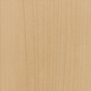 JbeBOV[g 10cmPʐؔ TQc AebN TC-4221 Cv  x[W REATEC AebN 2024-2026 WOOD WOOD Ebh