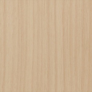 yX[p[SALEN[|zzzJbeBOV[g 10cmPʐؔ TQc AebN TC-4224 EHibg  x[W REATEC AebN 2024-2026 WOOD WOOD Ebh