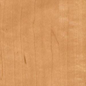 yX[p[SALEN[|zzzJbeBOV[g 10cmPʐؔ TQc AebN TC-4263 Cv  uE REATEC AebN 2024-2026 WOOD WOOD Ebh