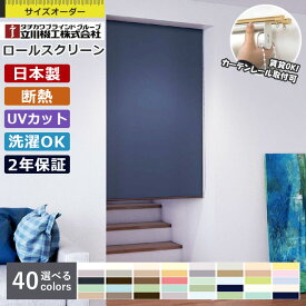 【先着限定！最大2000円クーポン配布中】ロールスクリーン 立川機工 ココルン ウォッシャブル 1cm単位 サイズオーダー 無地 洗える ファーステージ カーテンレール取付可能 賃貸OK 間仕切り 目隠し 節電