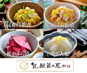 yX[p[SALEN[|zzzΓ _ۂ̌b Ђ Iׂ 4Zbg ߍ]_Y