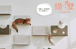 �L�� �ǃp�l��(���؍� + �R�[�i�[�L���b�v�t) ���@�F900mm × 2,400mm LIXIL ���N�V�� TOSTEM �g�X�e��