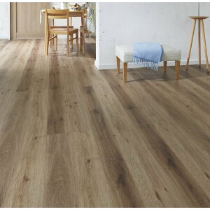 ���V�b�TD �t���A�A�[�X ���� �ؖڃ^�C�v 151 DE-2B / DE-2G 6������ 1�؃^�C�v �̂Ē���H�@ LIXIL ���N�V�� TOSTEM �g�X�e��