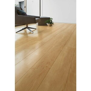 ���V�b�TS �t���A�A�[�X ���� �ؖڃ^�C�v 151 FE-2B 6������ 1�؃^�C�v �̂Ē���H�@ LIXIL ���N�V�� TOSTEM �g�X�e��